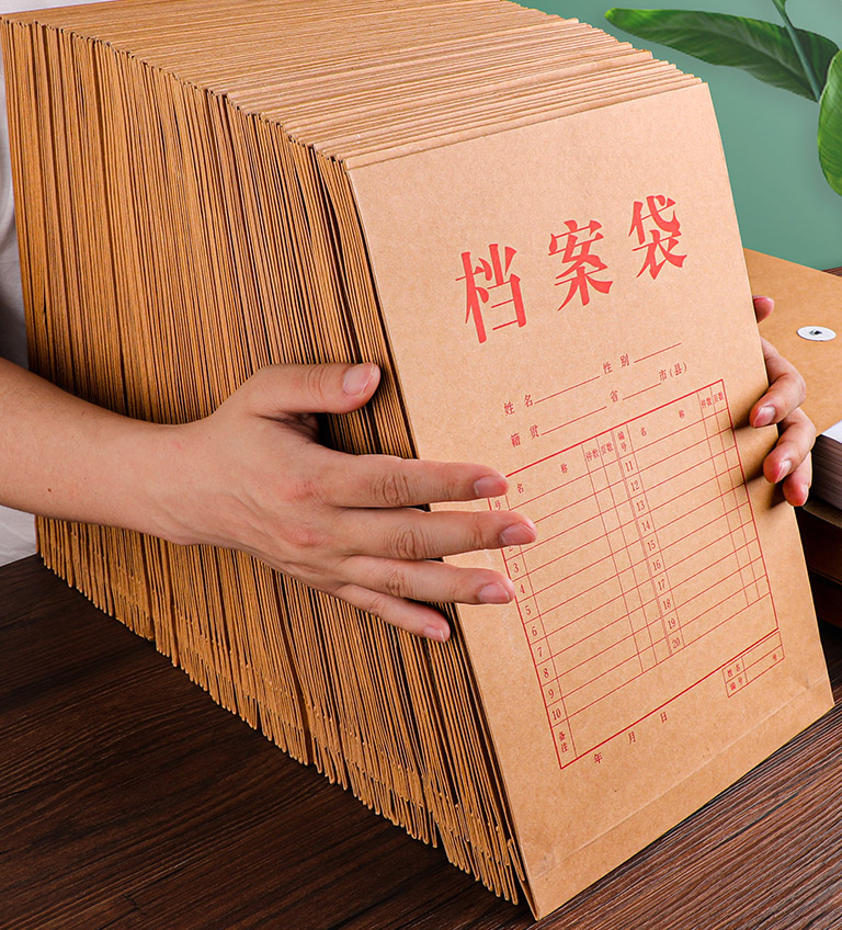 档案袋