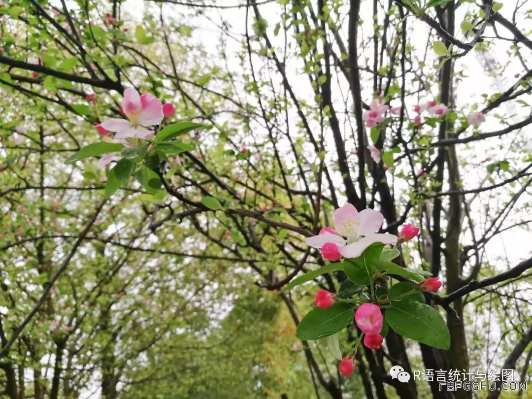 广告平面常用的位图、矢量图是什么?(pic1) 作图知识 I 图片格式、期刊尺寸、分辨率、颜色模式、标注等(图1)