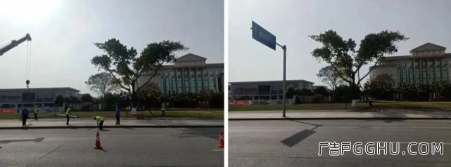 德阳市区清理大批违规广告牌(图5) 图片