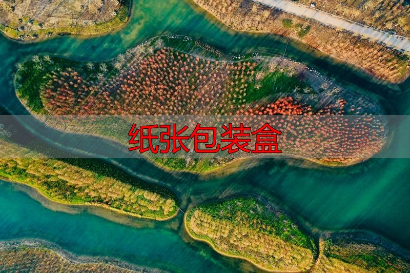 纸张包装盒_利乐包装回收利用_复合纸包装