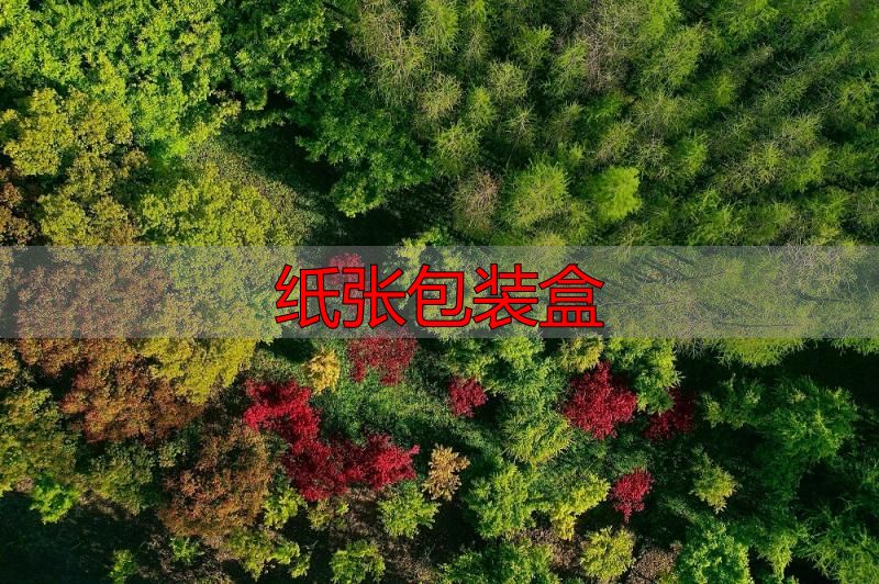 纸张包装盒_利乐包装回收利用_复合纸包装