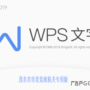WPS Office 2019 专业版（茂名市党政机关单位）WPS无广告版